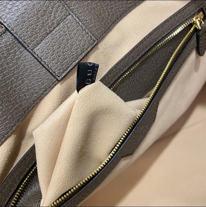 202529C631685N164039884