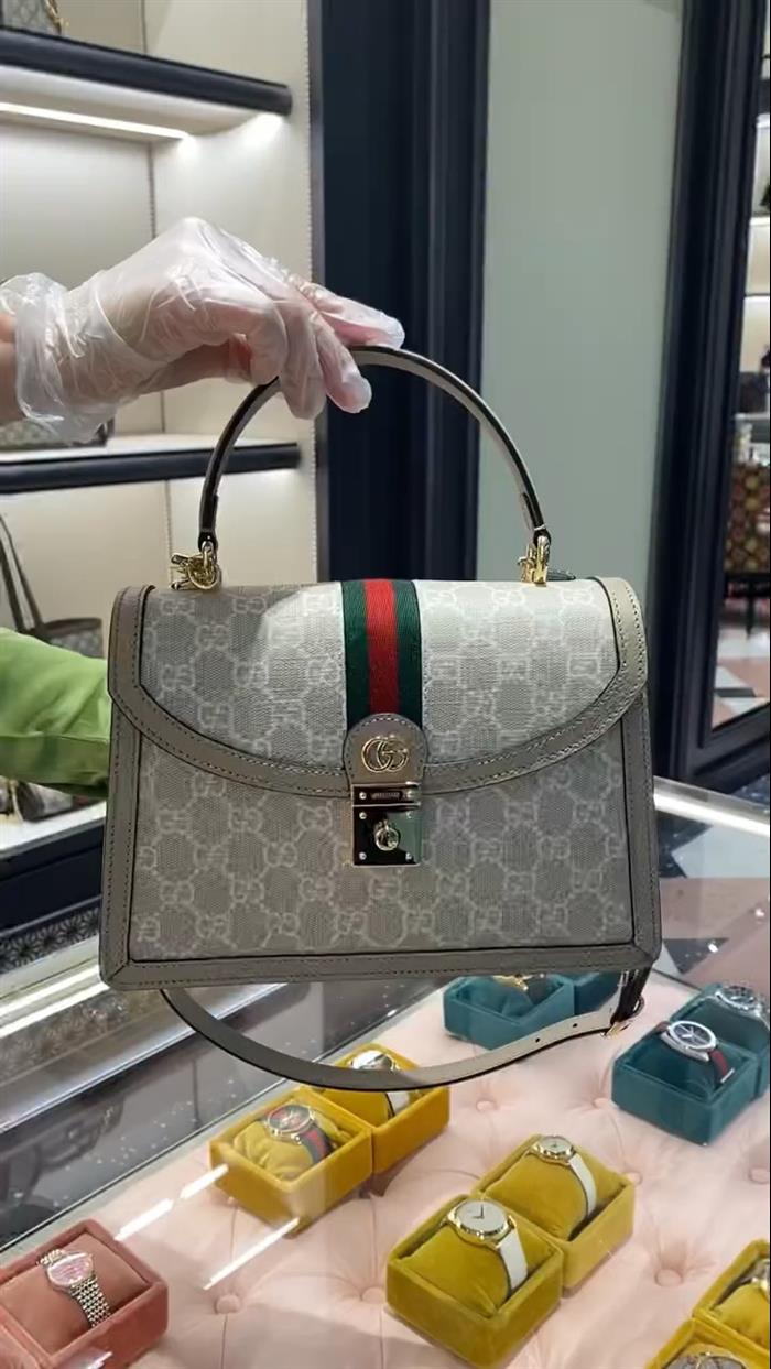 202529C651055N164040136