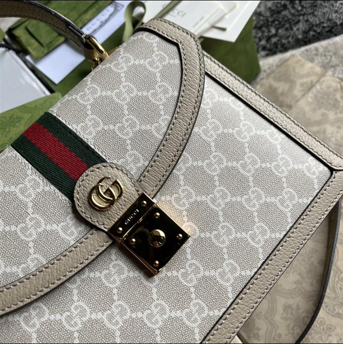 202529C651055N164040247