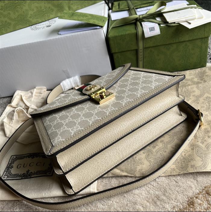 202529C651055N164040263