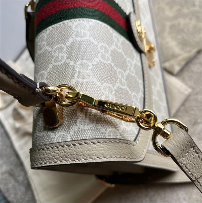 202529C651055N164040279