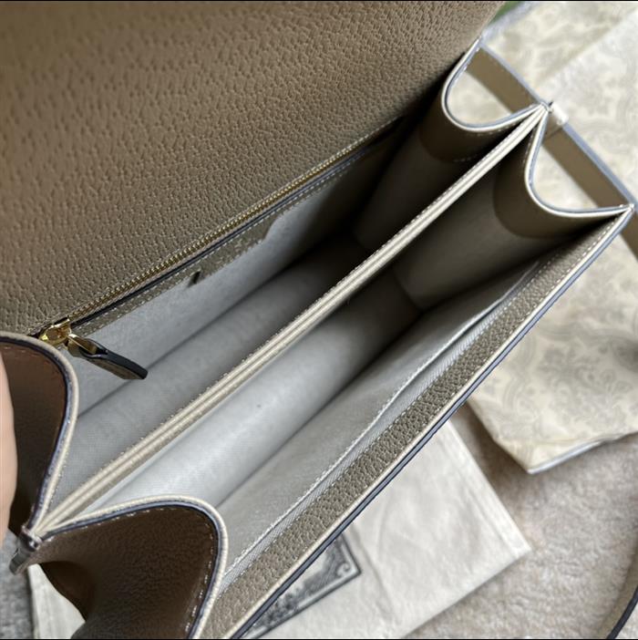 202529C651055N164040311