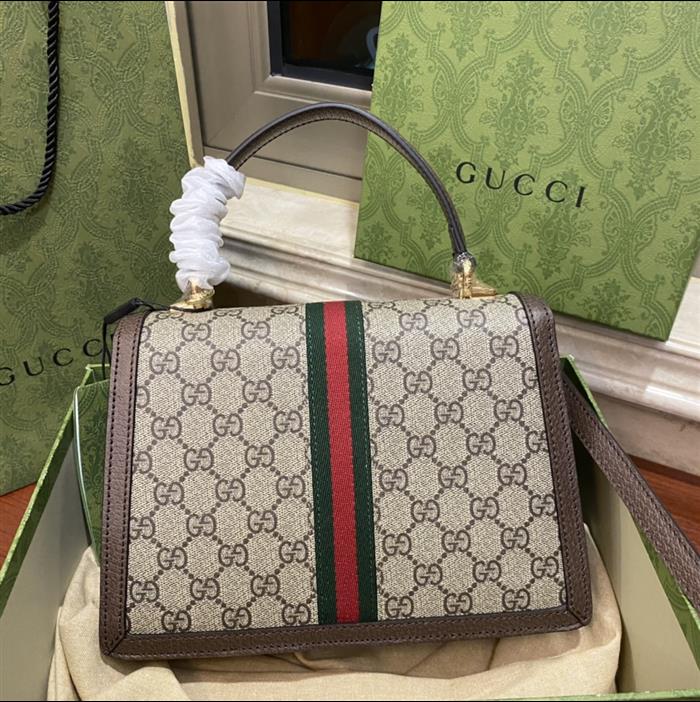 202529C651055N164040373