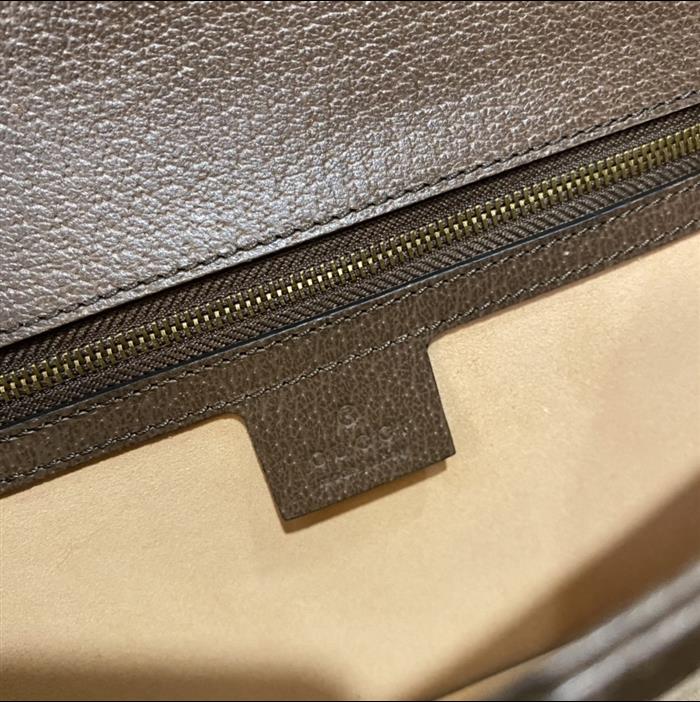 202529C651055N164040466