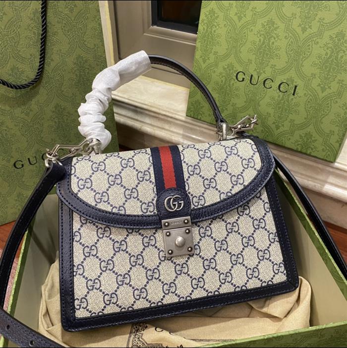 202529C651055N164040483