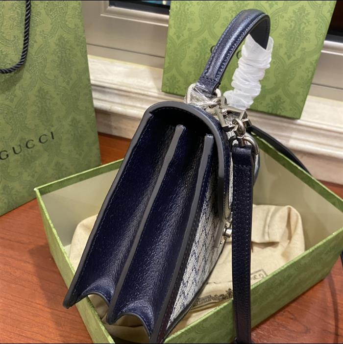 202529C651055N164040498