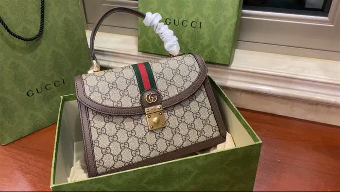 202529C651055N164040641