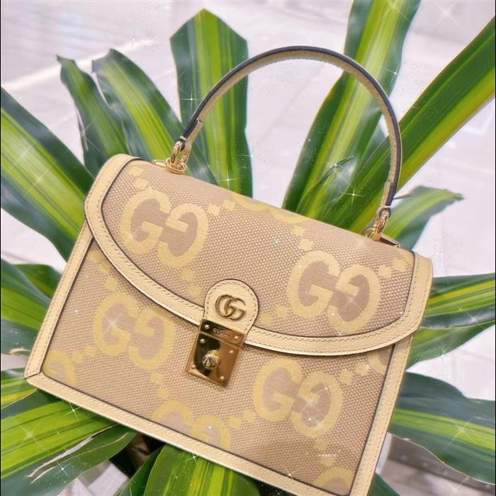 202529C651055N164040736