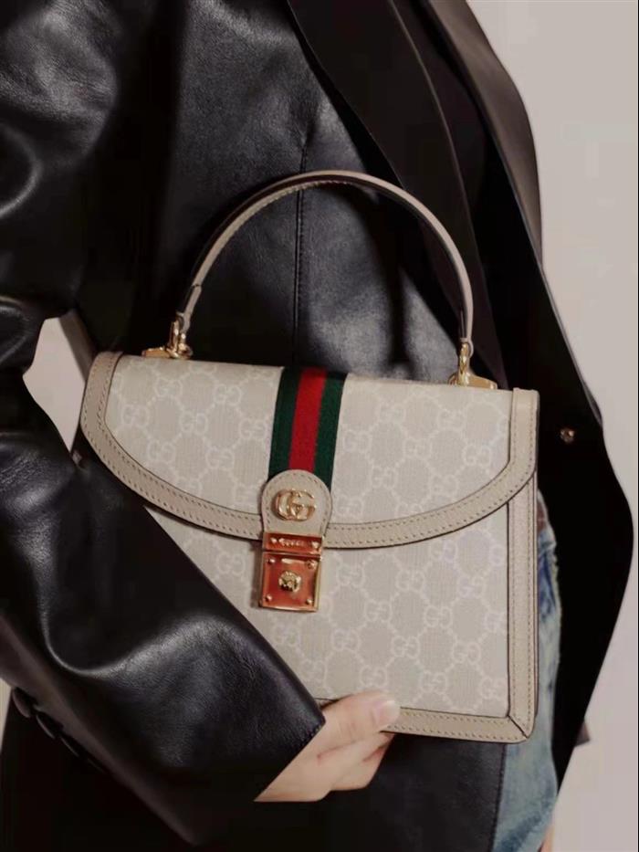 202529C651055N164040829