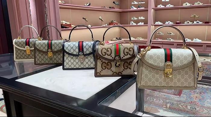 202529C651055N164040860