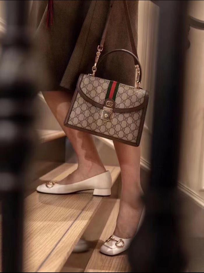 202529C651055N164040986