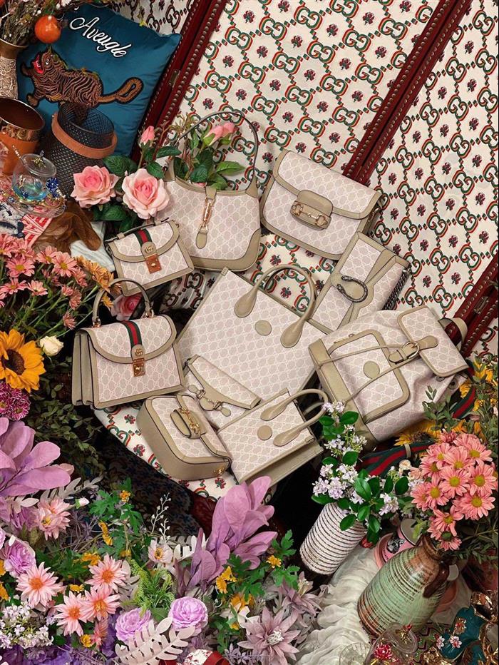 202529C651055N164041174