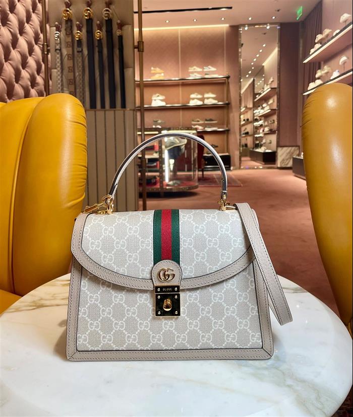 202529C651055N164041188