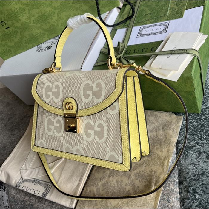 202529C651055N164041299