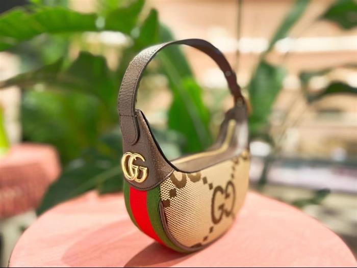 202529C658551N164041818