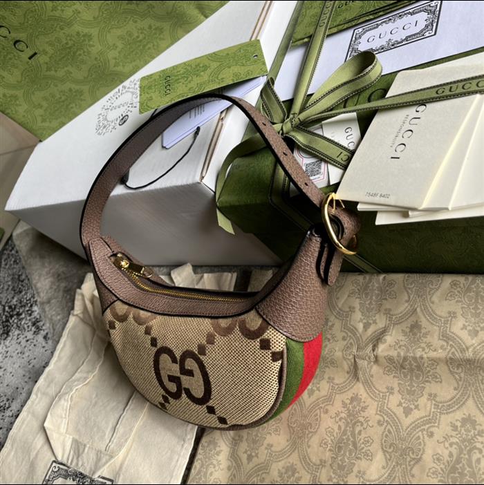 202529C658551N164041866