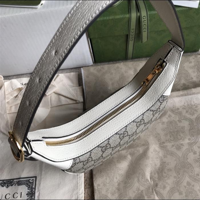 202529C658551N164043207