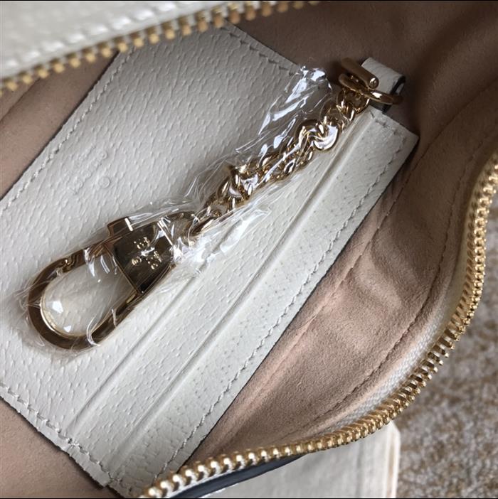 202529C658551N164043254