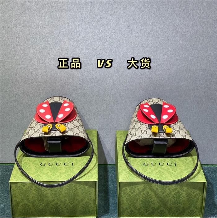 2025210C666277N20303340