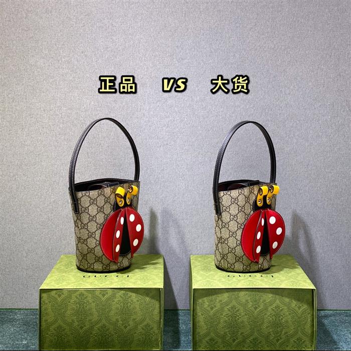 2025210C666277N2030339