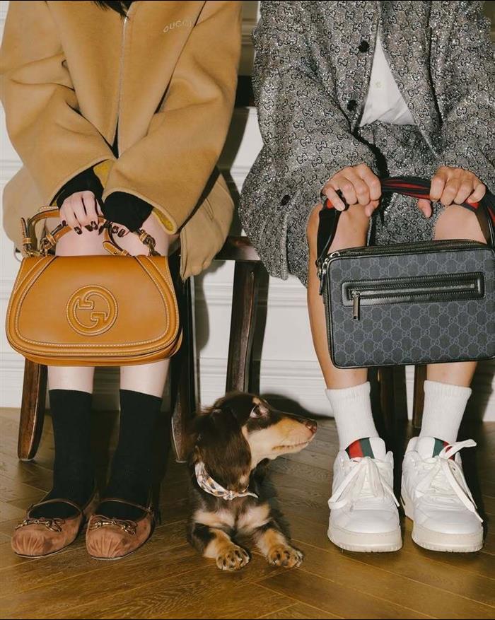 2025210C822072N202112529