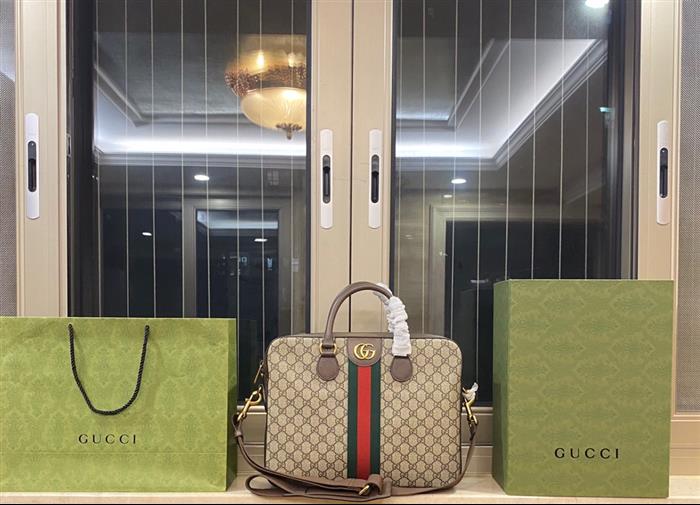 202529C574793N164034411