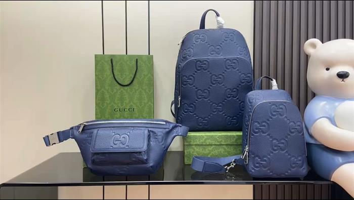 202529C645093N16411831