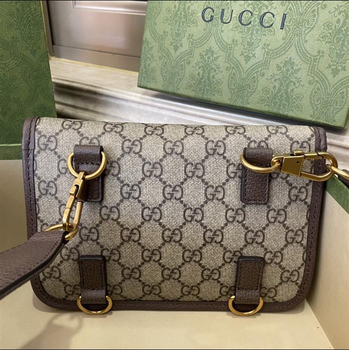 202529C489617N164017455