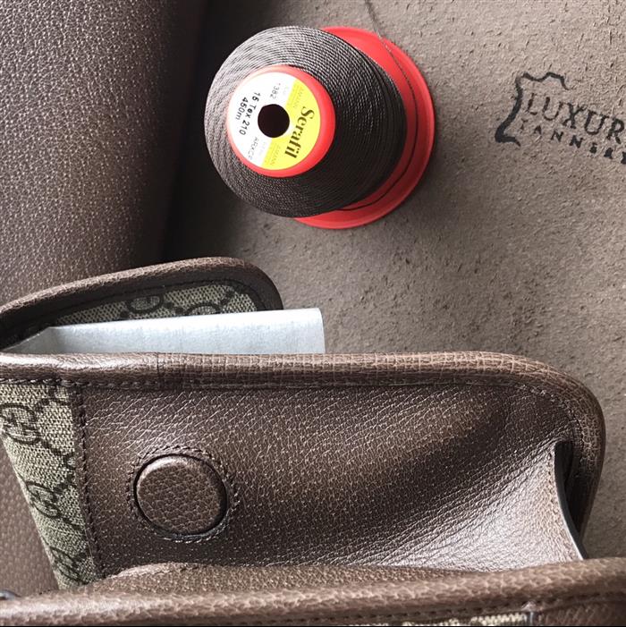 202529C501050N164018224