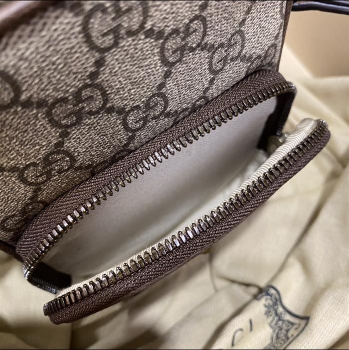 202529C658556N164019166