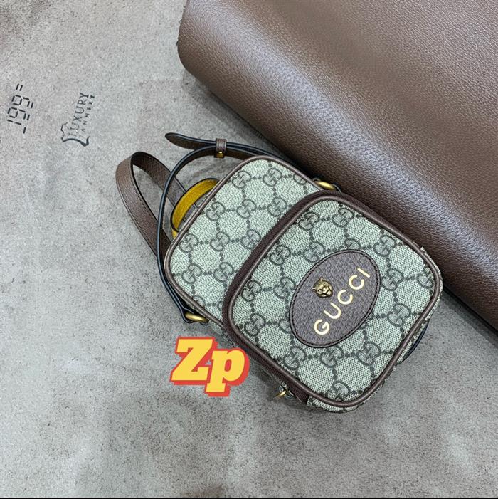 202529C658556N164019198