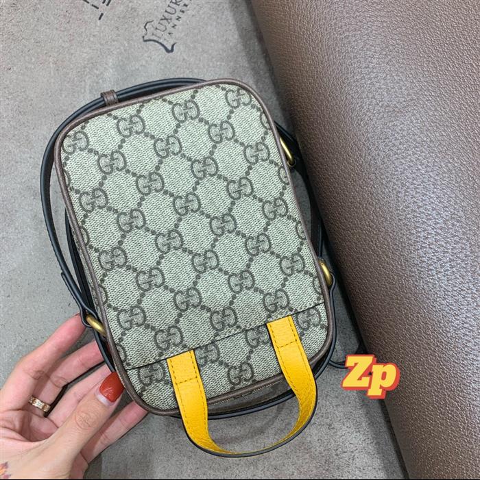 202529C658556N164019309