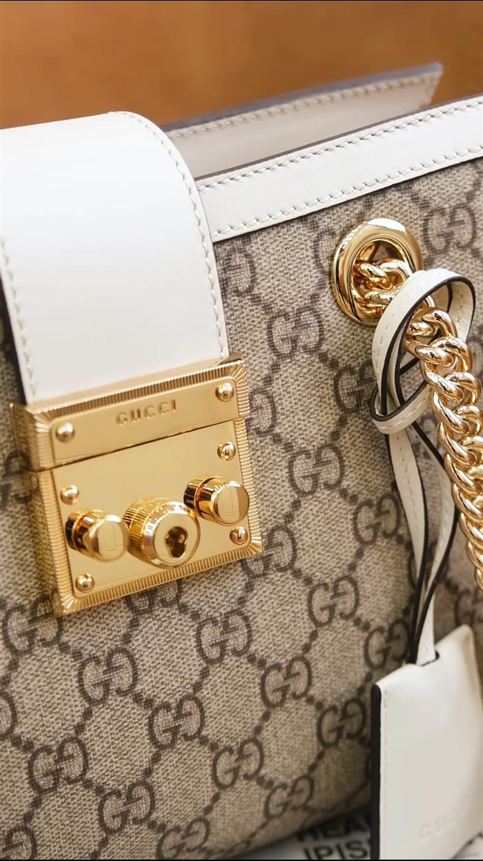 202529C498156N164024992