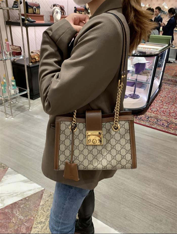 202529C498156N164025134