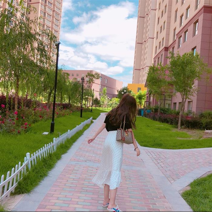 202529C498156N164025182