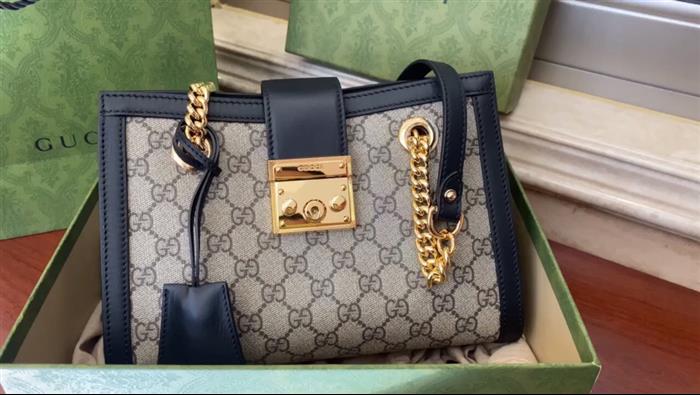 202529C498156N16402524