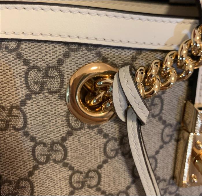 202529C498156N164025355