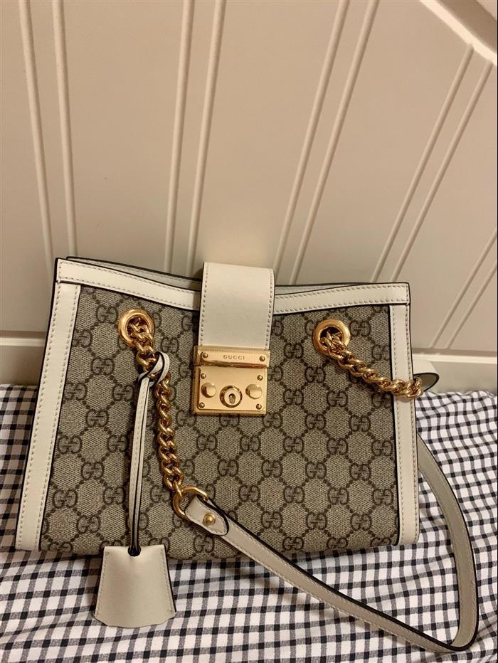 202529C498156N164025371