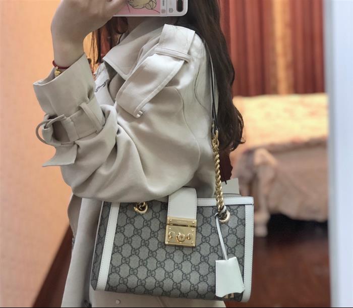 202529C498156N16402540