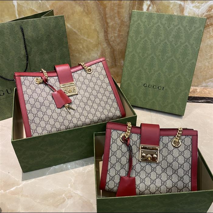 202529C498156N164025497