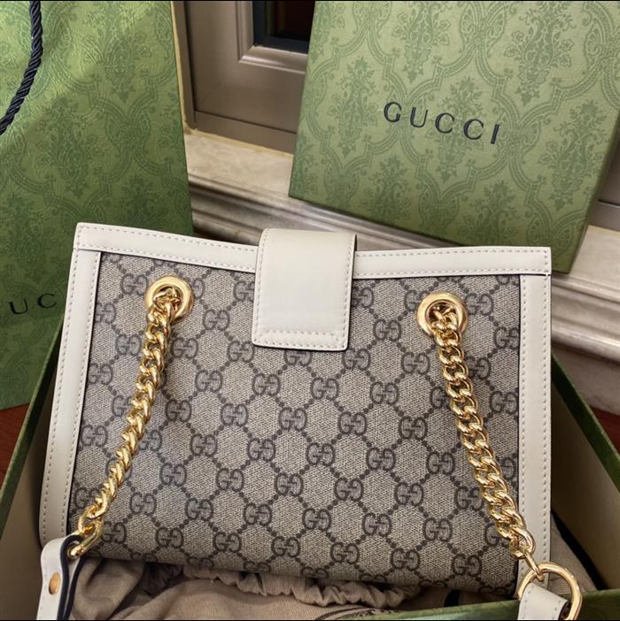 202529C498156N164025796