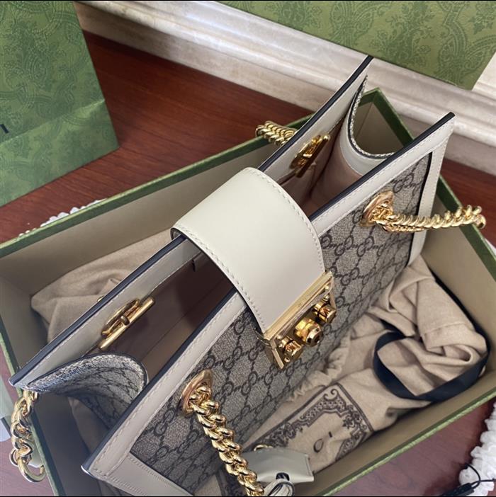 202529C498156N164025844