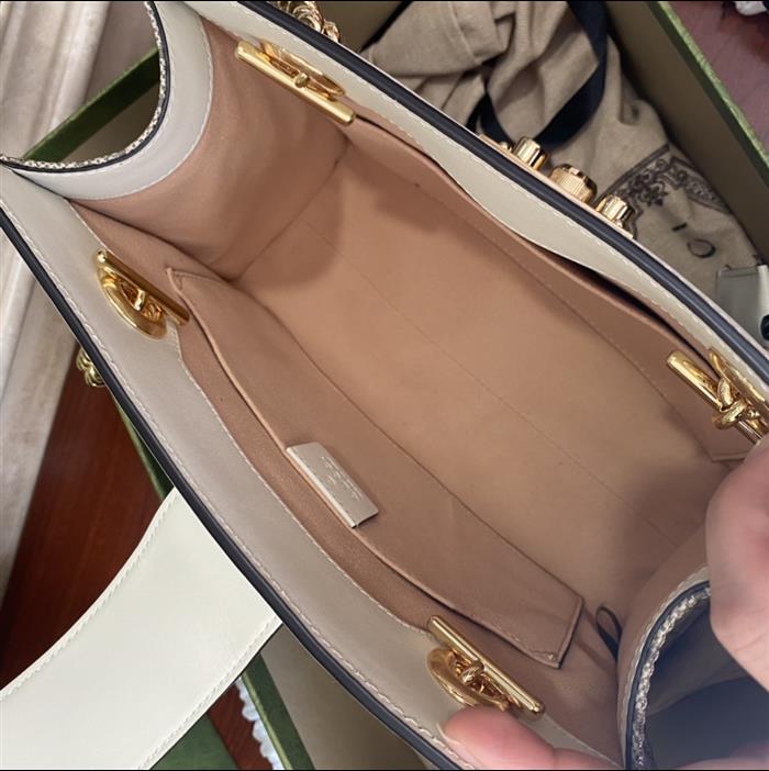 202529C498156N164025860