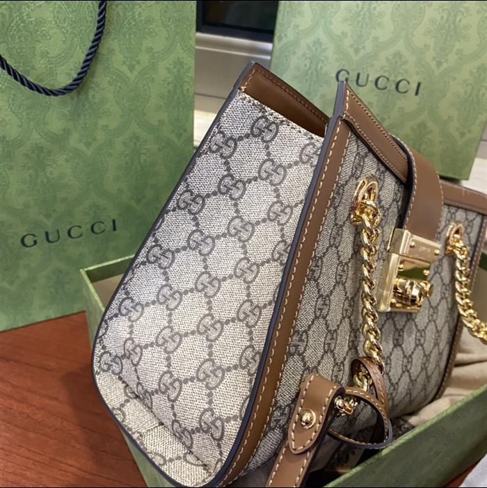 202529C498156N164025924