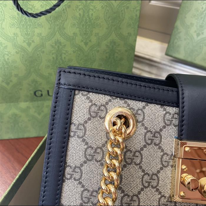 202529C498156N164026113