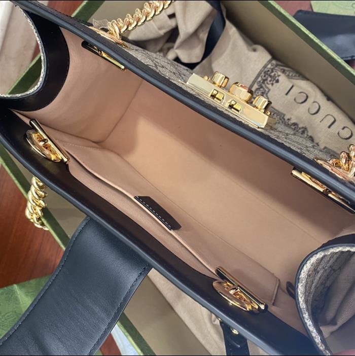 202529C498156N164026145