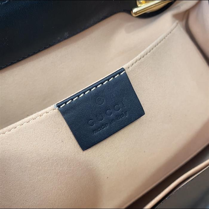 202529C498156N164026160