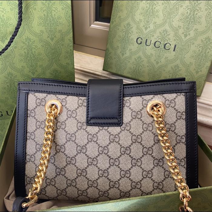 202529C498156N16402681