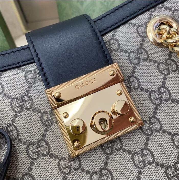 202529C498156N16402697