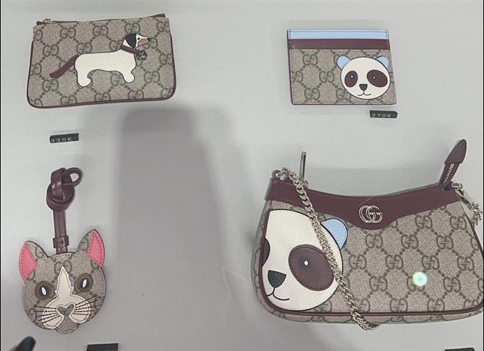 2025210C818769N201954662